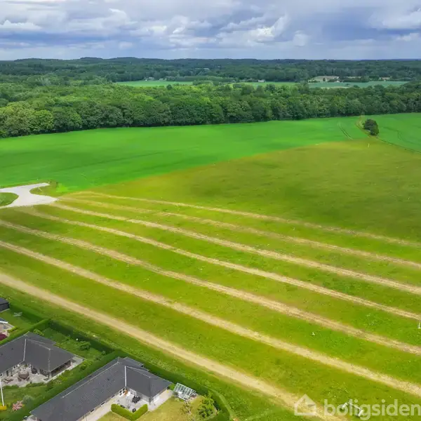 En grøn mark med parallelle rækker af græs og jord løber gennem landskabet. Til venstre er der rækkehuse omgivet af haver. I baggrunden ses en skov.