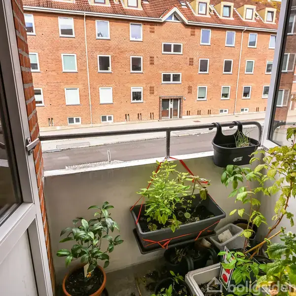 Altan med flere planter i krukker og kasser. Store vinduer giver udsigt til en gade og en murstensbygning med mange vinduer.