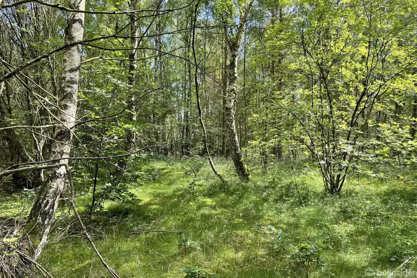 Fritidsgrund på Mads'S Plantage 31, 9560 Hadsund