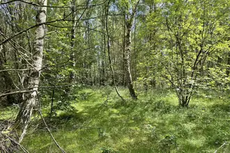 Fritidsgrund på Mads'S Plantage 31, Helberskov, 9560 Hadsund