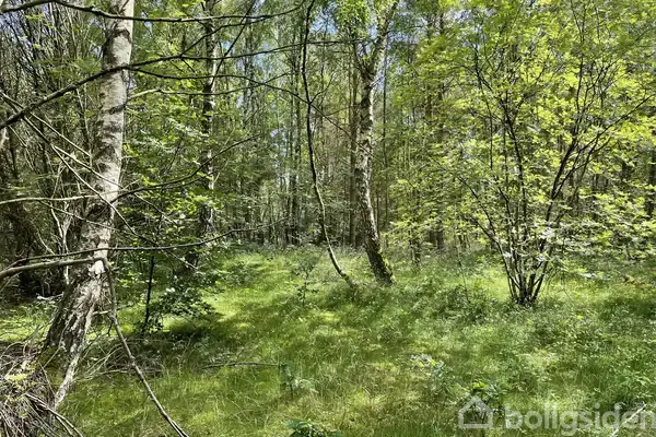 Fritidsgrund på Mads'S Plantage 31, 9560 Hadsund