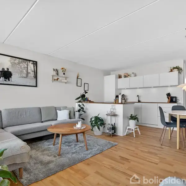 Grå hjørnesofa står i stue med træ-gulv, lille rundt bord og planter. Åbent køkken i baggrunden med hvide skabe, spisebord og lamper skaber en hyggelig atmosfære.