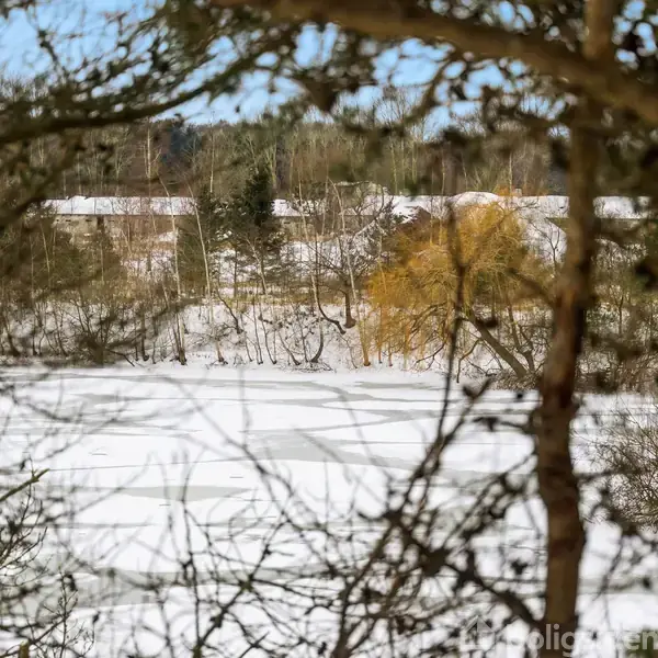 Grener rammer en snedækket eng, hvor et træ med gule blade står i forgrunden. Baggrunden er skovklædt med huse synlige på den fjerne horisont.
