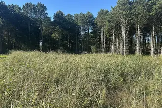 Fritidsgrund på Bekkasinvej 5, Saksfjed Ø, 4970 Rødby