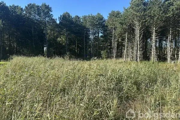 Fritidsgrund på Bekkasinvej 5, 4970 Rødby