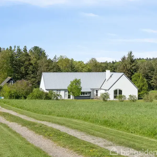 Et hvidt hus med gråt tag står stille i en grøn mark omgivet af tæt skov. Grusvej fører til huset under en klar blå himmel.