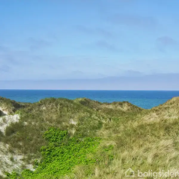Klitter med sand og græs ligger stille ved kysten, mens havet strækker sig i horisonten under en blå himmel.