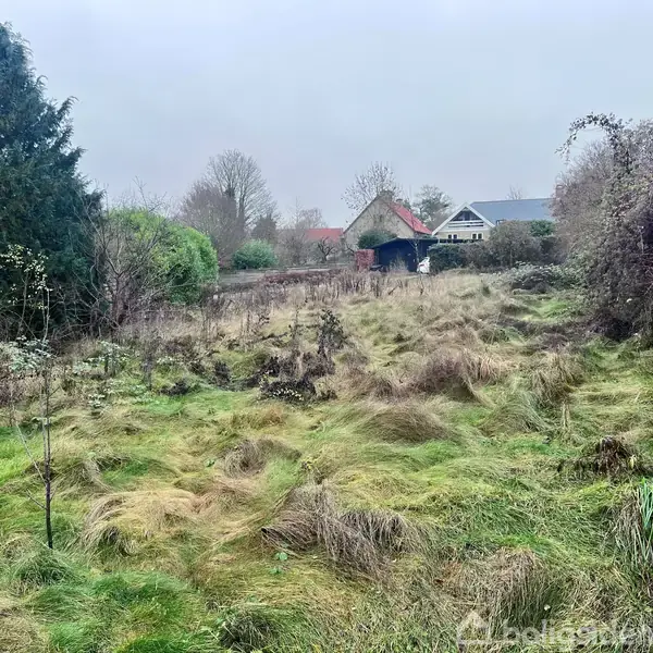 Et åbent område med ujævnt, langt græs spreder sig mod to små bygninger i baggrunden. Træer og buske omkranser området under en overskyet himmel.