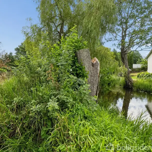 Gamle træstubbe står ved en dam med klart vand, omgivet af frodig vegetation og høje træer. I baggrunden ses en hvid bygning, som skaber en landlig atmosfære.