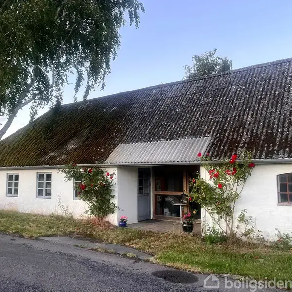 En hvid, traditionel landbygning med skråt tag står omgivet af træer og buske. Flere blomstrende planter vokser op ad facaden ved indgangspartiet, der ligger tæt ved en landevej.