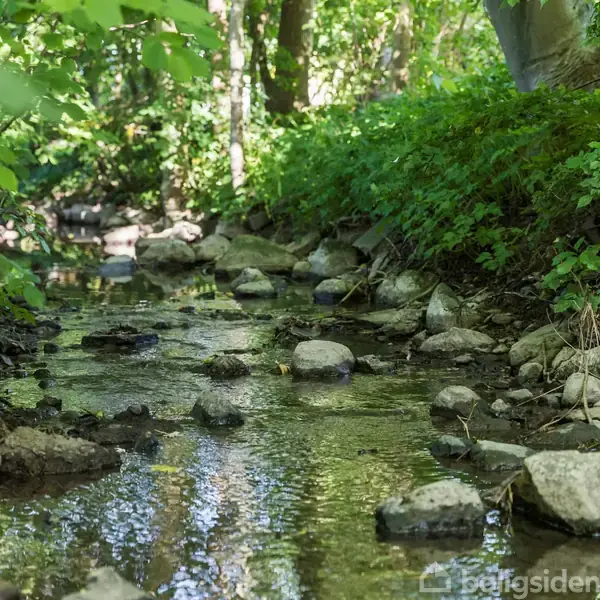 En lille bæk flyder stille gennem en skov, omgivet af frodige grønne blade og træer. Store sten ligger spredt i vandet og langs bredderne.