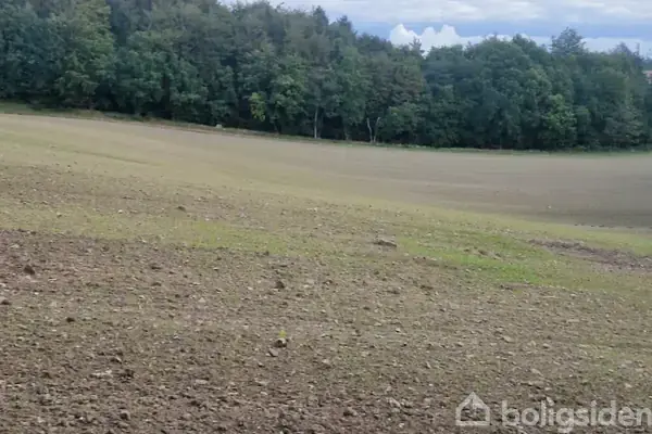 Planteavlsgård/-jord på Haderupvej 8, 9560 Hadsund