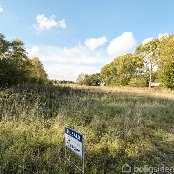 Græsmark med til salg-skilt står stille i landskabet; træer omgiver åbent felt under lys himmel. Tekst på skilt: "TIL SALG 67 21 09 96".