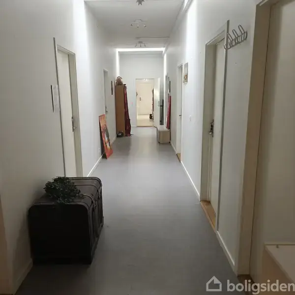 En lang gang med hvide vægge og døre, dekoreret med en plante ovenpå en kuffert til venstre. Et billede læner sig op ad væggen. Skabe ses for enden.