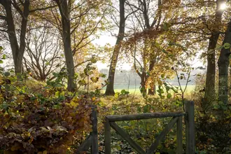 Fritidshus på Multebærvej 12, Horneby Fælled, 3100 Hornbæk