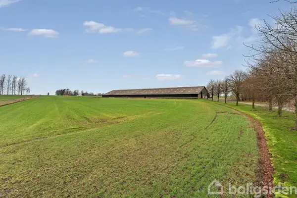 Planteavlsgård/-jord på Kandborgvej 13, 7160 Tørring