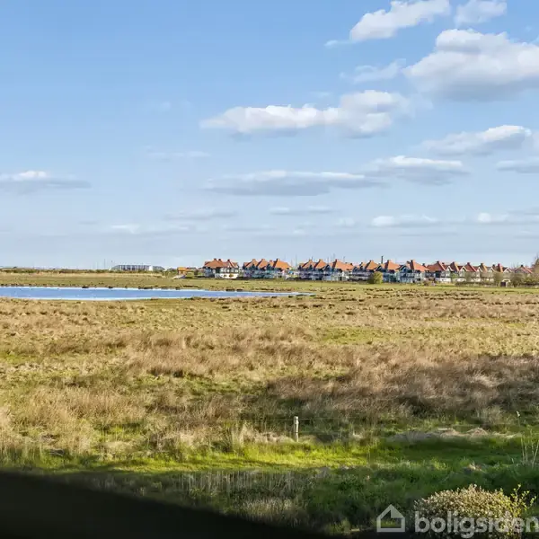 En mark med højt græs strækker sig foran en fjern landsby. Landsbyen har rødt tagede huse. En vindpose står til højre, og himlen er klar med lette skyer.