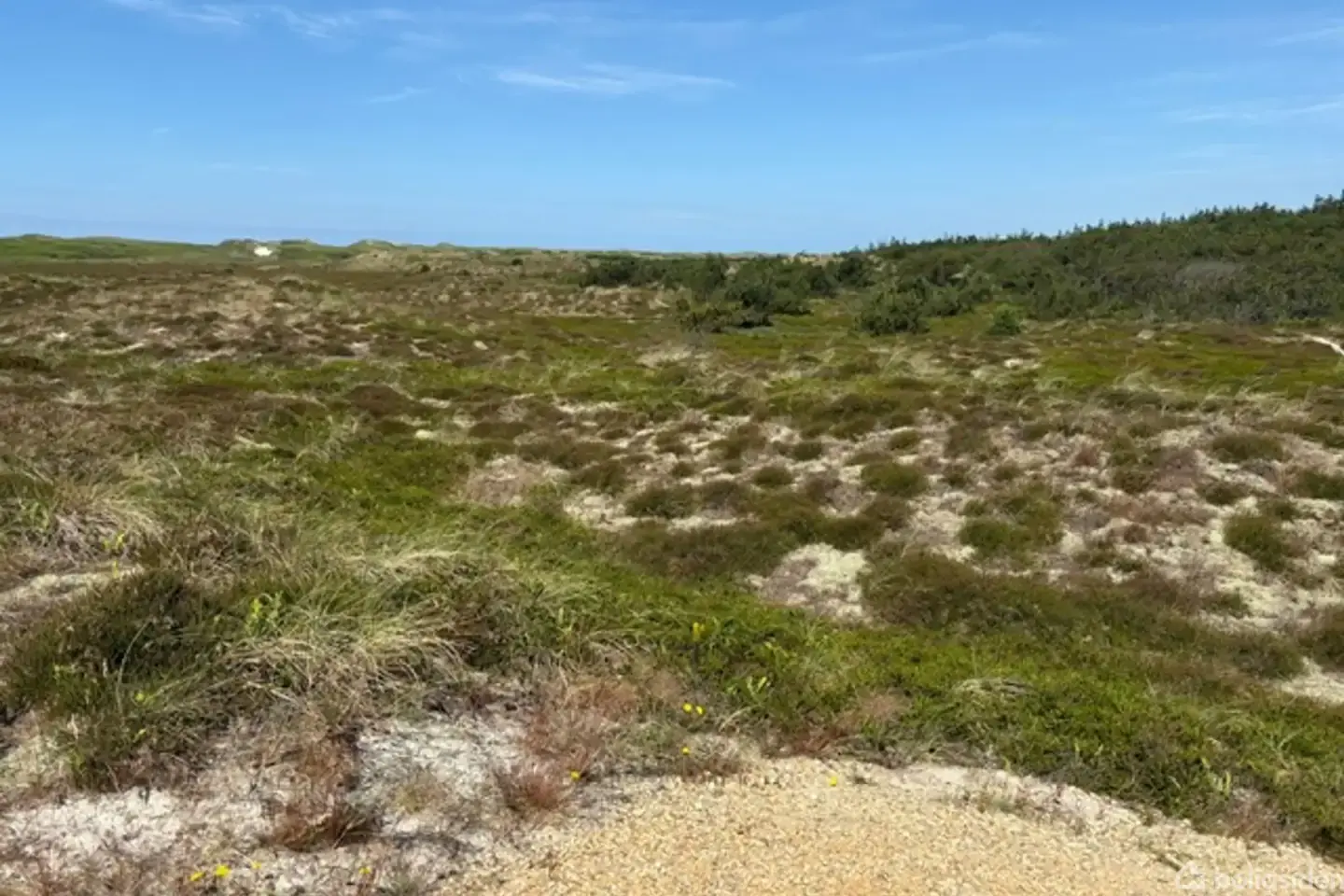 Fritidsgrund på Arvidvej 44, 6960 Hvide Sande