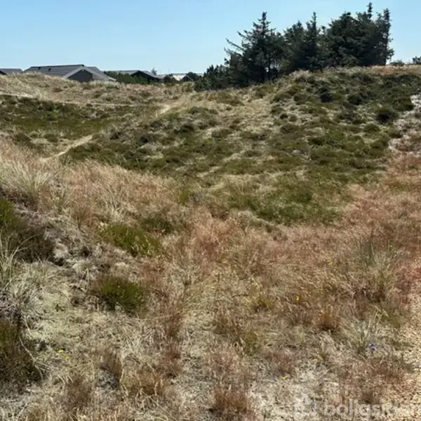 Græsbeklædte klitter står stille ved siden af en grussti i et åbent landskab. I baggrunden ses træer og hustage under en klar himmel. En bil er parkeret nær stien.