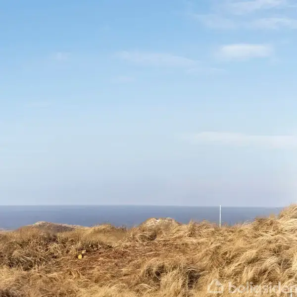 Tørt græs strækker sig over sandklitter, med det blå hav og den klare himmel i baggrunden, ses fra et vindueshjørne til højre.