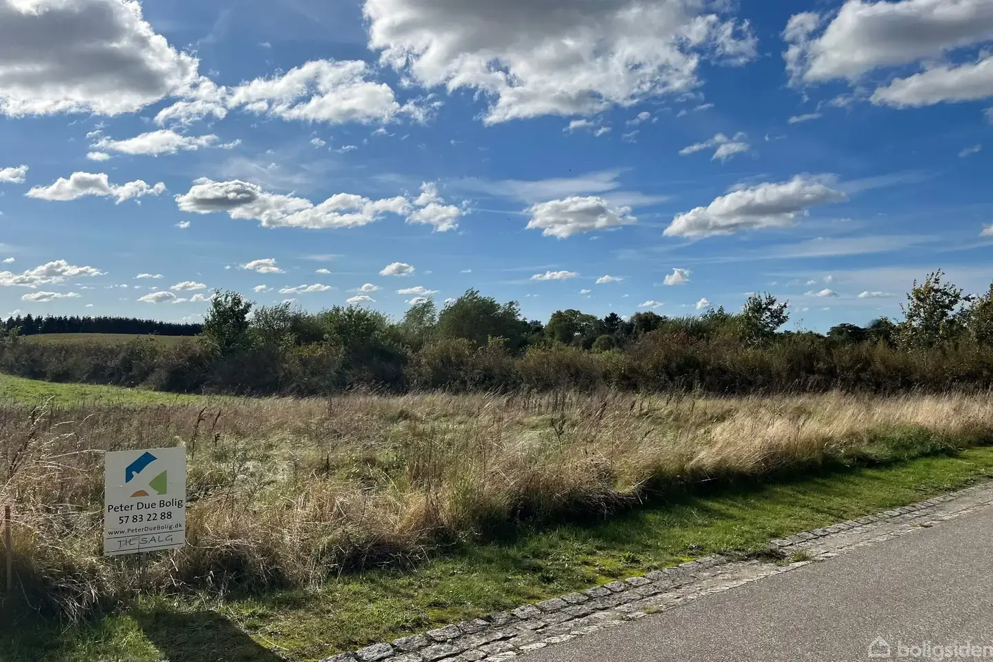 Helårsgrund på Skulpturvej 9, 4293 Dianalund