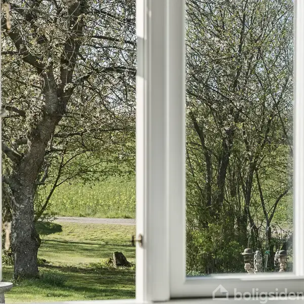 Træ står stille udenfor vinduet; omgivet af frodig grøn natur og en lille sti. Sollys strømmer gennem grenene.