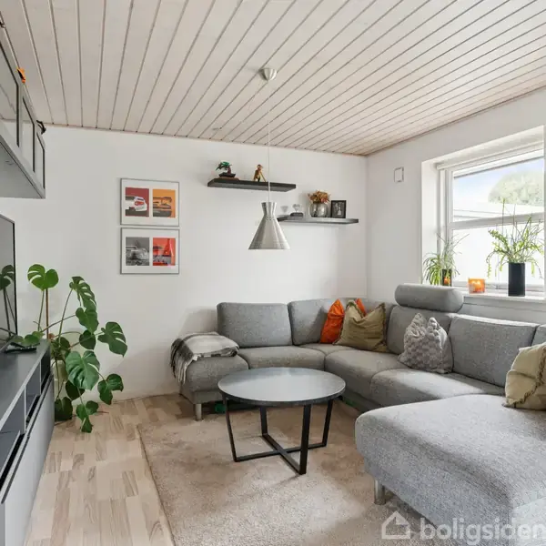 Grå hjørnesofa med farverige puder står i stuen, flankeret af et rundt sofabord. Fjernsynet er monteret til venstre. Store vinduer lyser rummet op med planter i karmen.