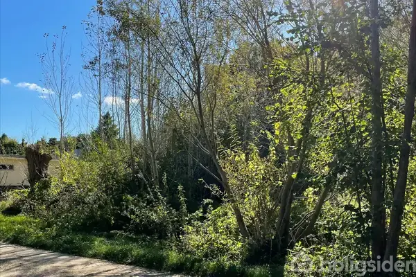 Fritidsgrund på Mosevej 10, 4560 Vig