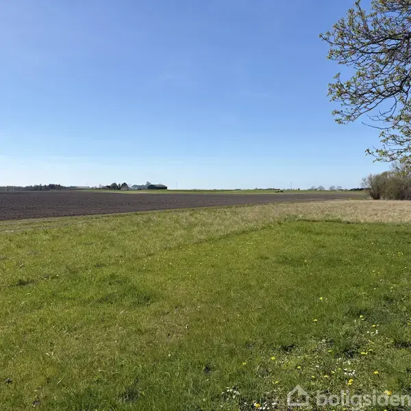 Græsmark strækker sig mod horisonten til venstre for et pløjet felt, under en klar blå himmel; et træ står i højre side.