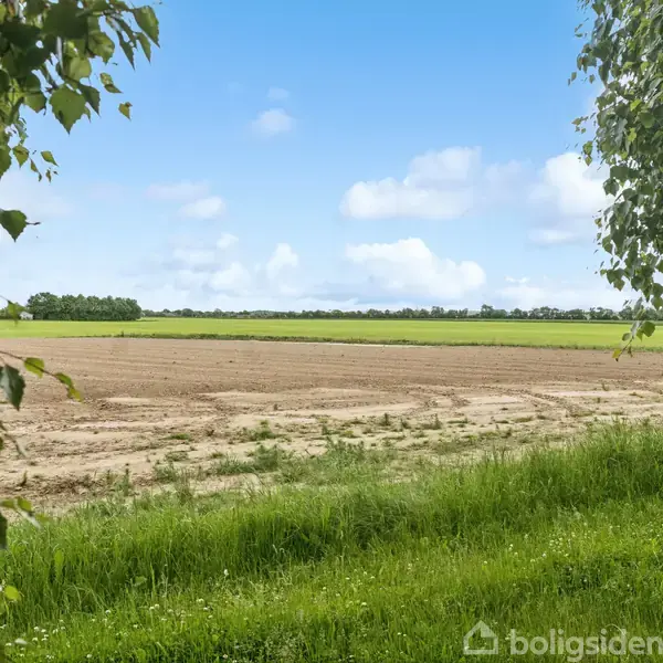 Pløjemark ligger stille omgivet af grønne træer og græs i forgrunden under en blå himmel med spredte skyer.