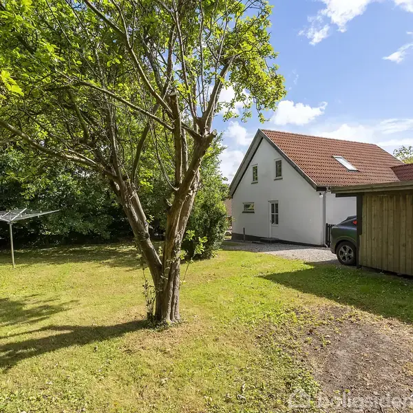 Et træ står i en frodig have ved siden af et hvidt hus med rødt tag. En tørresnor står til venstre, og en garage er synlig til højre.