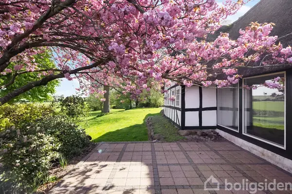 En hvid og sort bindingsværksbygning, omkranset af lyserøde blomstrende træer, står ved siden af en flisebelagt terrasse. Grønt græs strækker sig ud i baggrunden under en klar himmel.
