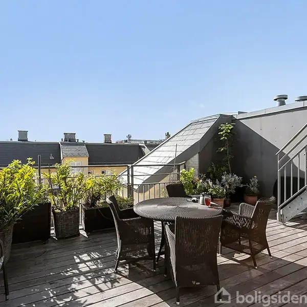 En tagterrasse med et rundt bord og stole omgivet af planter. Trap forbundet til taget. Omgivelserne viser hustage under en klar blå himmel.