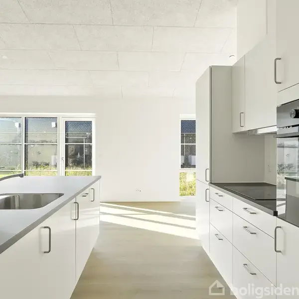 Et lyst, moderne køkken med en køkkenø med stålvask. Indbygget ovn og kogeplader til højre. Store vinduer slipper masser af lys ind og viser udsigt til en have.