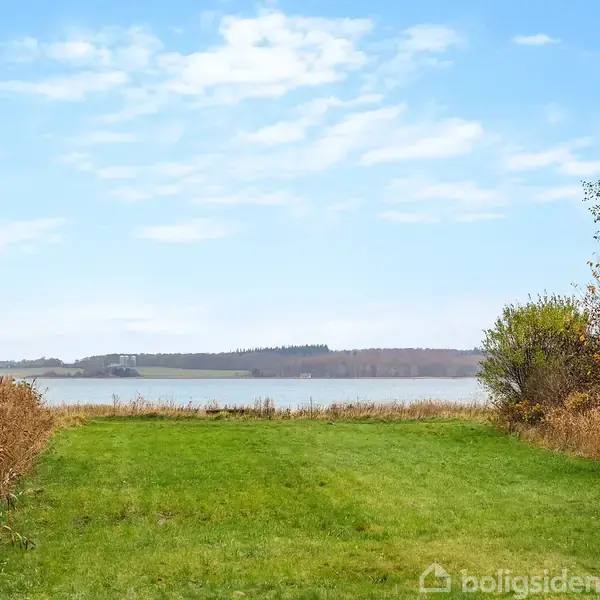 Grønt græsområde strækker sig mod en rolig sø i baggrunden, omgivet af træer og buske på begge sider under en blå himmel med lette skyer.