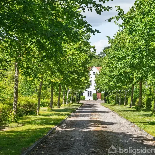 En hvid villa står for enden af en grusvej omgivet af symmetrisk plantede træer. Grønt løv i landlig setting skaber en fredelig og indbydende atmosfære.