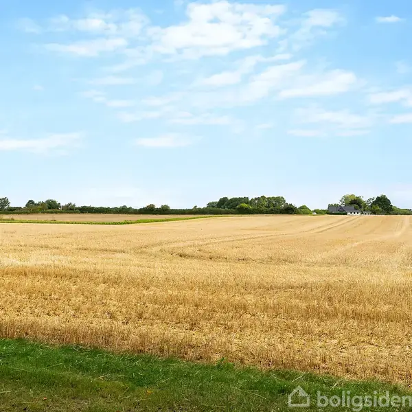 En solbeskinnet mark ligger stille under en blå himmel med spredte skyer, omgivet af træer i horisonten.