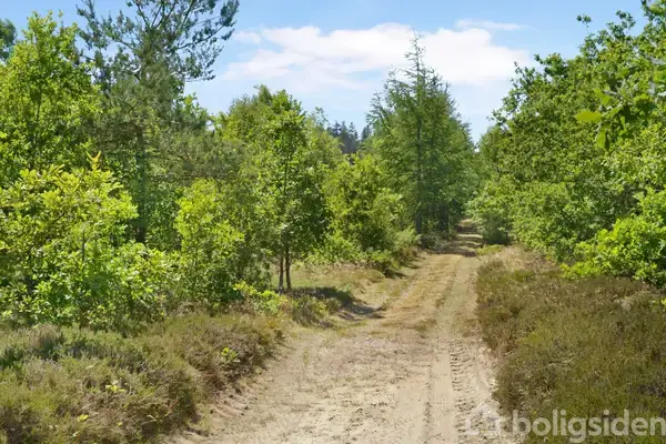 Planteavlsgård/-jord på Frejstrupvej 4, 9240 Nibe