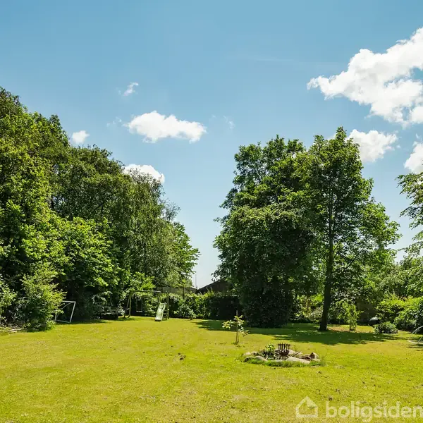 Grøn græsplæne omkranset af høje træer stående stille under en blå himmel med fluffy skyer.