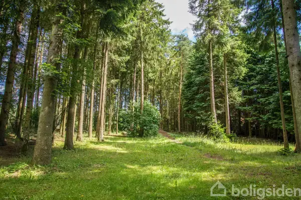 Helårsgrund på Bøllemosegyden 77, 5491 Blommenslyst