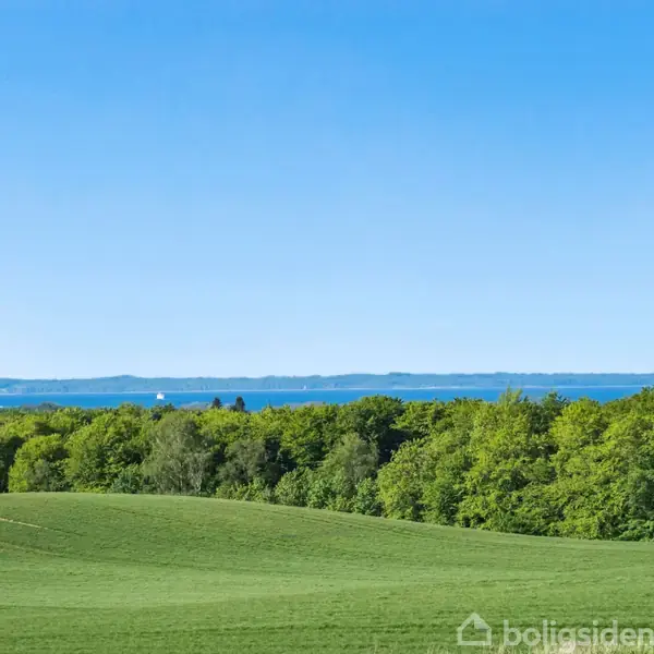 En grøn mark strækker sig foran en skovkant, mens blå hav ses i horisonten under en klar blå himmel.