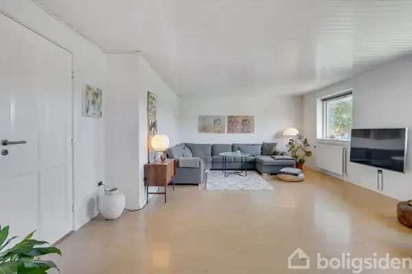 En grå sofa står langs en væg i en stue, flankeret af to lamper. Et tæppe ligger under sofabordet, og et tv hænger på den modsatte væg.