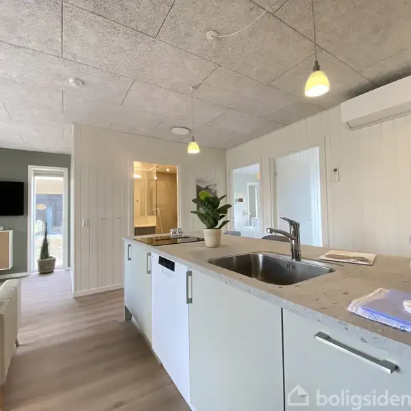 Køkkenbord med vask og kaffemaskine, omgivet af stue med sofa og TV på væggen samt badeværelse i baggrunden. Moderne indretning med lys belysning og grøn plante.