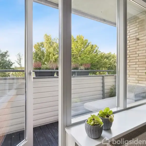 Glassdør åbner mod en balkon med planter på gelænderet. Indendørs vindueskarm har potteplanter. Udsigt til træer i dagslys.