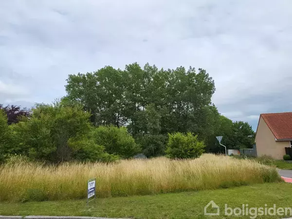 En uplejet grund med højt græs og buske foran en række høje træer. En ejendomsmæglerens skilt står i græsset. I baggrunden ses et hus med rødt tag.