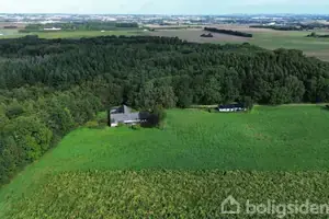 Landejendom på Skovhusevej 38, 8723 Løsning