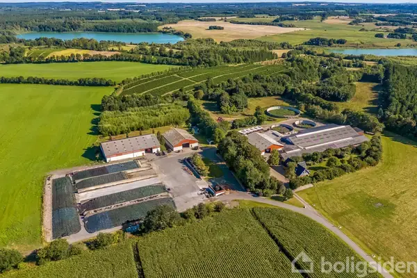 Kvæggård/-jord på Velgårdevej 17, 8766 Nørre Snede