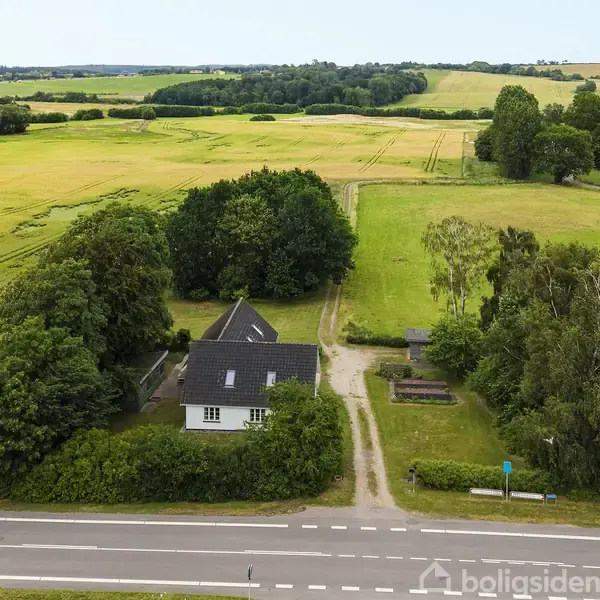 Hus omgivet af grønne marker, står stille ved en landevej. Omgivet af store træer skaber en rolig, landlig atmosfære. Ingen tekst til stede.