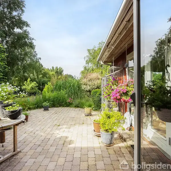 En stenbelagt terrasse indeholder diverse planter i potter placeret på borde og gulv. Solen skinner, og haven omkring er frodig og grøn med diverse buske og træer.