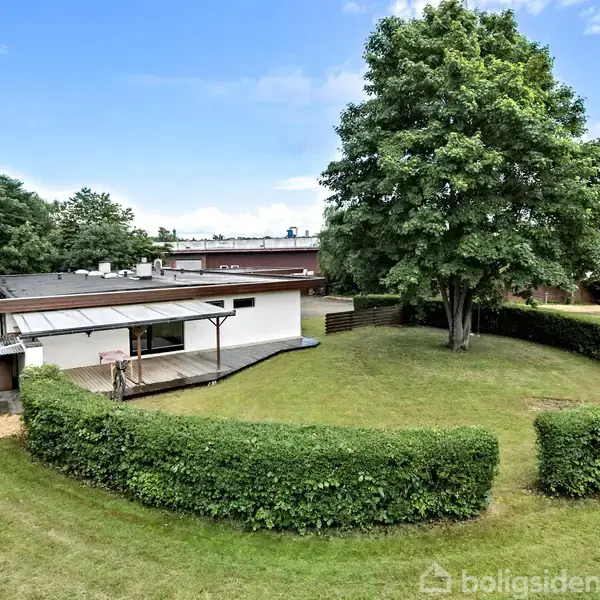 Et hvidt hus med fladt tag ligger i en stor græsplæne indrammet af en lav hæk. Et stort træ står ved siden af huset i haven.